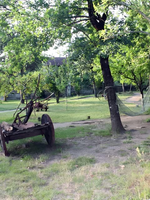 Tapería en Salvaterra do Miño para toda la familia