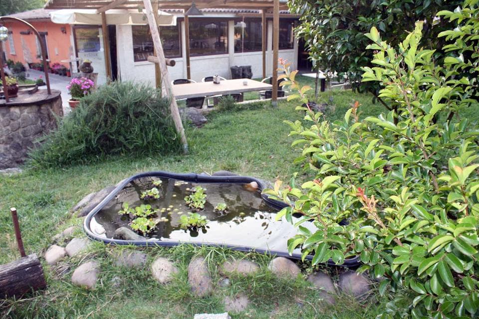Os Foxos, restaurante y tapería en Salvaterra